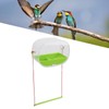 Transparent Bird Feeder with Strong Suction Cup Multifunctional DIY Innovative