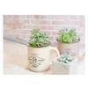Asaka Kougyou FG 192444 Plastic Succulent Soil Container, Set of