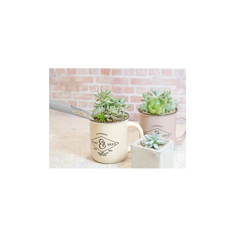 Asaka Kougyou FG 192444 Plastic Succulent Soil Container, Set of