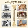 SINROBO 4 Pack Silvervine Sticks for Cats - Cat Chew