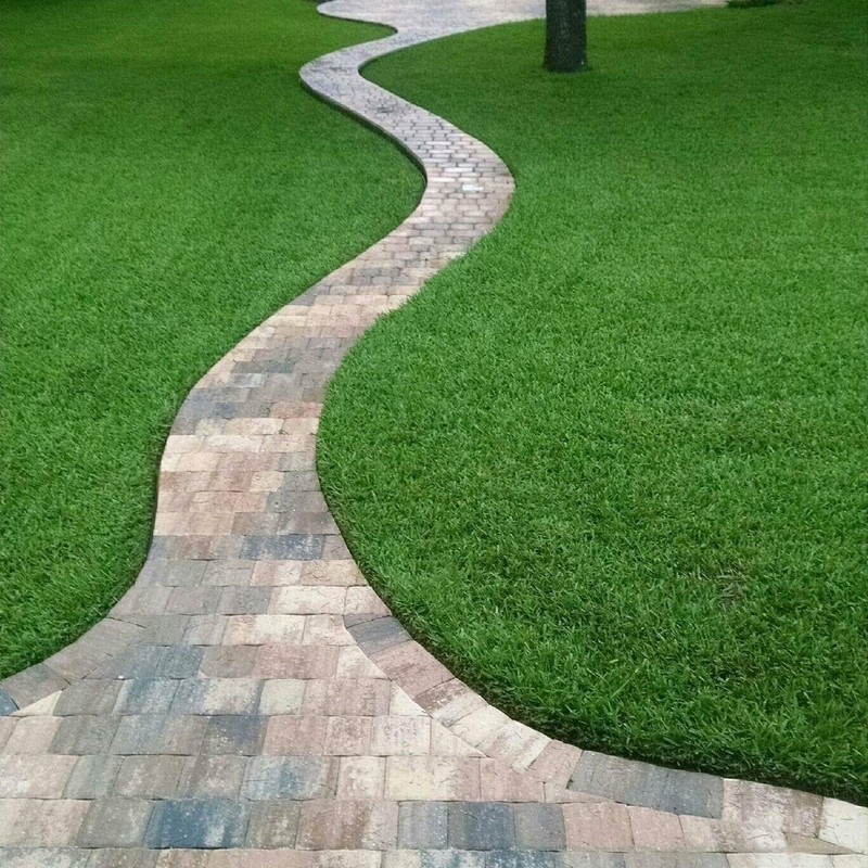 St. Augustine 'Seville' Sod - 54 Live Plugs - Drought,