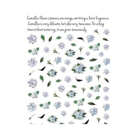 Generic Daisy Flower Rose Sunflower Violet Ladybug Nail Stickers R005 Nail Wraps Stickers Manicure Supplies for Women Nails Full Long Lasting Easy Apply and Remove