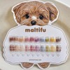 Yogurt Gel Maltipoo 10 Piece Set Ink Gel Art Liquid