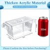 Wenqik Fish Breeder Box for Aquarium Fish Acclimation Box Breeder