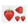 4 x 'Strawberry' Temporary Tattoos - Water Resistant, Skin-Safe, Non-Toxic