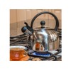 Primula Stainless Steel 2.5 qt. Whistling Stovetop Tea Kettle (PTK-6525)