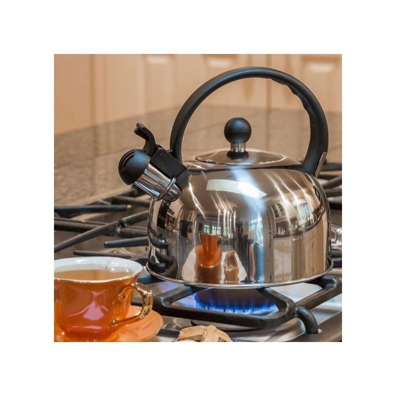 Primula Stainless Steel 2.5 qt. Whistling Stovetop Tea Kettle (PTK-6525)