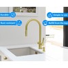 Built in Soap Dispenser for Kitchen Sink, Gold Brushed Stainless