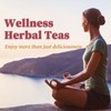 FullChea Hawthorn Berry Tea - 50 Teabags, 3g/bag - Premium,