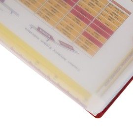 11 Hole Aerobind QRH Cover - 6.56 Inch Wide Clear Rigid Pilot Checklist Cover - 50 Per Pack