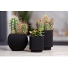 Capi Europe - Pot Cylinder Groove Black & Gold -
