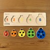 ボーネルンドオリジナル ( BorneLund Original ) ファーストピックアップパズル てんとう虫 [5ピース] 2歳頃 HY711900