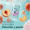 Rexona Invisible Balm Melocotón & Peonia 41g