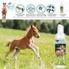 The Blissful Horses Gentle Touch Horse Shampoo, Hypoallergenic and Tearless