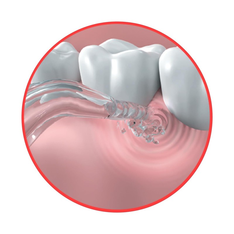 GO2 Dentagenie Portable Water Flosser