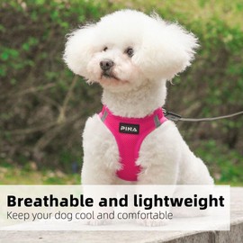 PINA Dog Harness for Small Dogs No Pull, Small Dog Harness and Leash Set, No Choke Breathable Mesh Dog Vest Harness, Lightweight Adjustable Small Medium Dog Harness - Easy to Put On and Take Off