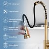 DJS Kitchen Faucets with Pull Down Sprayer Brushed Gold -Single