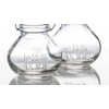 Richland Vintage Jar Mini Hanging Glass Vase Set of 12