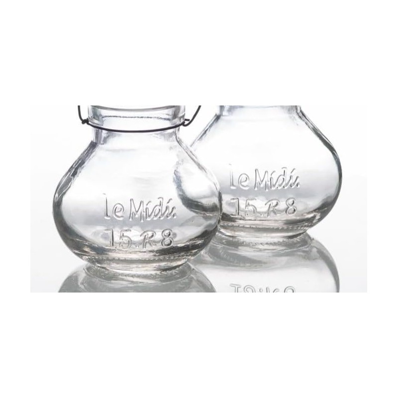 Richland Vintage Jar Mini Hanging Glass Vase Set of 12