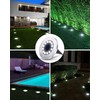Biling Solar Outdoor Lights 12 Pack, Bright 12 LEDs Solar