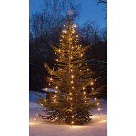 hellum 577907 Christmas Tree Lighting for Outdoor Use, 220 LEDs, Warm White, 10 Strands with Fixation, Height 180 cm, Christmas Tree Fairy Lights with Green Cable, 5 m Cable