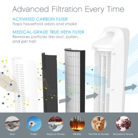 Pure Enrichment Genuine 2-in-1 True HEPA Replacement Filter for the PureZone Elite 4-in-1 Air Purifier - 2 Pack (PEAIRTWR)