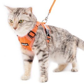 pangdi Cat Harness and Leash Escape Proof Large Kitten Harness Ragdoll Cat Vest for Walking Travel, Orange, L