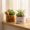 Cute Small Succulent Planter Set, 2-Pack Ceramic Garden Pots