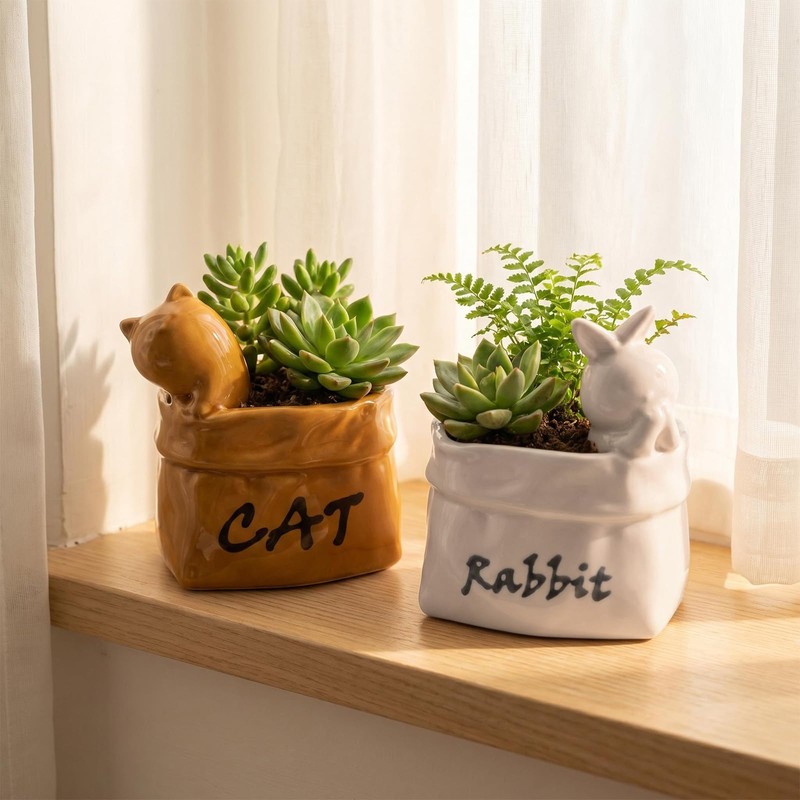 Cute Small Succulent Planter Set, 2-Pack Ceramic Garden Pots