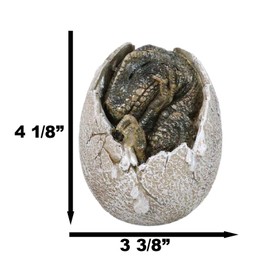 Ebros Gift Jurassic Era Predator Tyrannosaurus Rex In Egg Dinosaur Figurine Dino Hatchling Egg Crackling Baby Collectible Sculpture Of Prehistoric Giant Animals Ice Age Land Before Time Fossil Replica