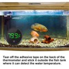 DWEII 2pack LED Digital Aquarium Thermometer, Tank Thermometer Aquarium Temperature