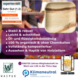 Waipur Organic Palm Leaf Plates - Rectangular Plates in Five Sizes - Premium Disposable and Compostable Tableware - Environmentally-Friendly Party Tableware