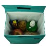 Ensign Peak Basic Lunch Sack (Teal)