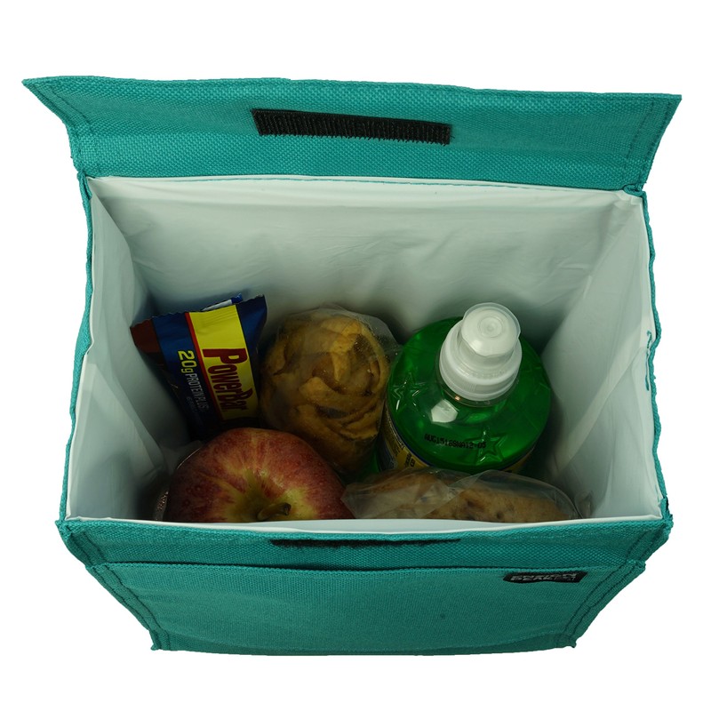 Ensign Peak Basic Lunch Sack (Teal)
