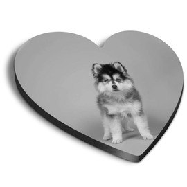 1 x Heart MDF Magnets - Pomsky Pomeranian Husky Puppy Dog 43393