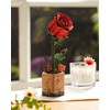 ROWOOD 3D Puzzle Red Rose, DIY Wooden Flower, Model Kits
