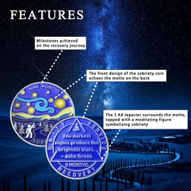 9 Month Sobriety Coin Sobriety Chips AA Chip AA Coins Sober Token Recovery Medallion NA Chips NA Coins from 1 to 12 Months Plastic case Included-9 Month Baking Paint