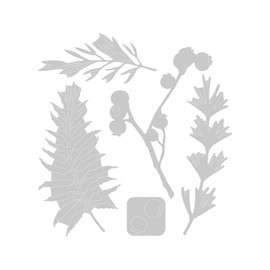 Sizzix Thinlits Die Set 5 Pack 664361 Natural Leaves, Multi-Colour, One Size
