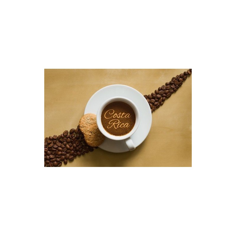 Cafe Rey Tradicional Costa Rica Ground Coffee Green Bag, 8.8