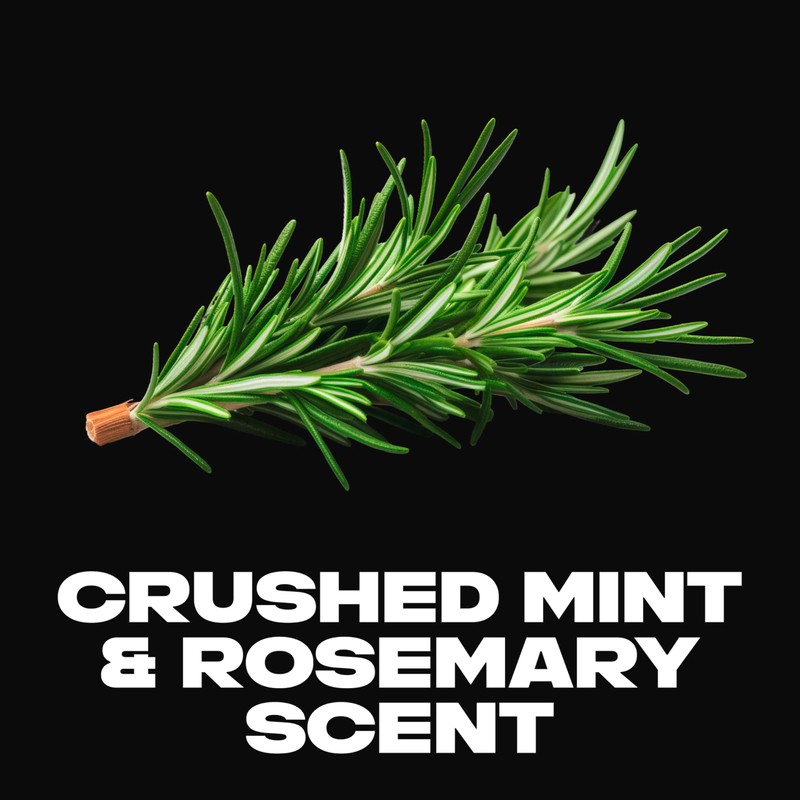 AXE Body Spray Deodorant Phoenix for Long Lasting Odor Protection