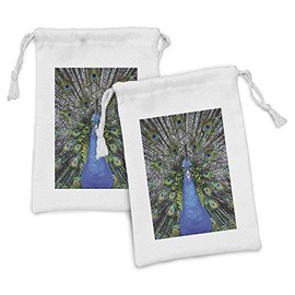 Lunarable Peacock Fabric Pouch Set of 2, Magnificent Animal Portrait Vibrant Colorful Feathers Photo Pattern Print, Small Drawstring Bag for Toiletries Masks and Favors, 9" x 6", Blue Green Brown