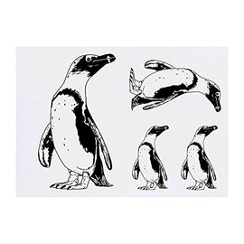 4 x 'African Penguin' Temporary Tattoos - Water Resistant, Skin-Safe, Non-Toxic Transfers, Mixed Sizes (TO00044257)
