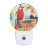 Uanvaha Macaw Parrot Nightlight A Beautiful Bird Scarlet Macaw Night