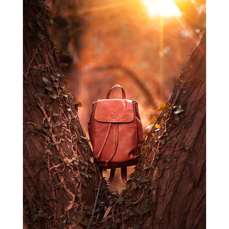 Woodland Leathers Genuine Leather anti theft backpack for women, Medium