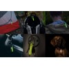 LALPHA GEAR AID Glow in the Dark Key Chain, clear