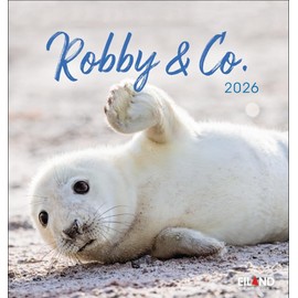Robby & Co. Postkartenkalender 2026: Robben und Seehunde in natürlicher Umgebung in einem kleinen Kalender. Postkarten-Fotokalender für Tierfreunde ... oder Aufhängen (Postkartenkalender Eiland)
