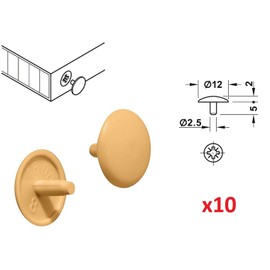 cyclingcolors 20 x cover cap screw caps head hole cover plastic countersunk head PZ2 furniture (pine)