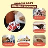 Pawfoo Lab Shoes Tug of War Dog Toys for Puppy,