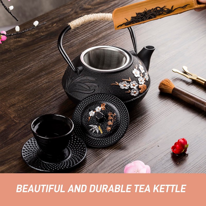 Cast Iron Teapot,SECHUDO Tea Kettle,Japanese Cast Iron Teapot with Stainless