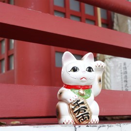 Seto-yaki Maneki Neko Piggy Bank, 6.3 inches, Hand-Painted Japanese Lucky Cat Figurine, Ceramic Money Bank for Home Decor, Fortune and Prosperity Talisman (White/Left Hand Up)